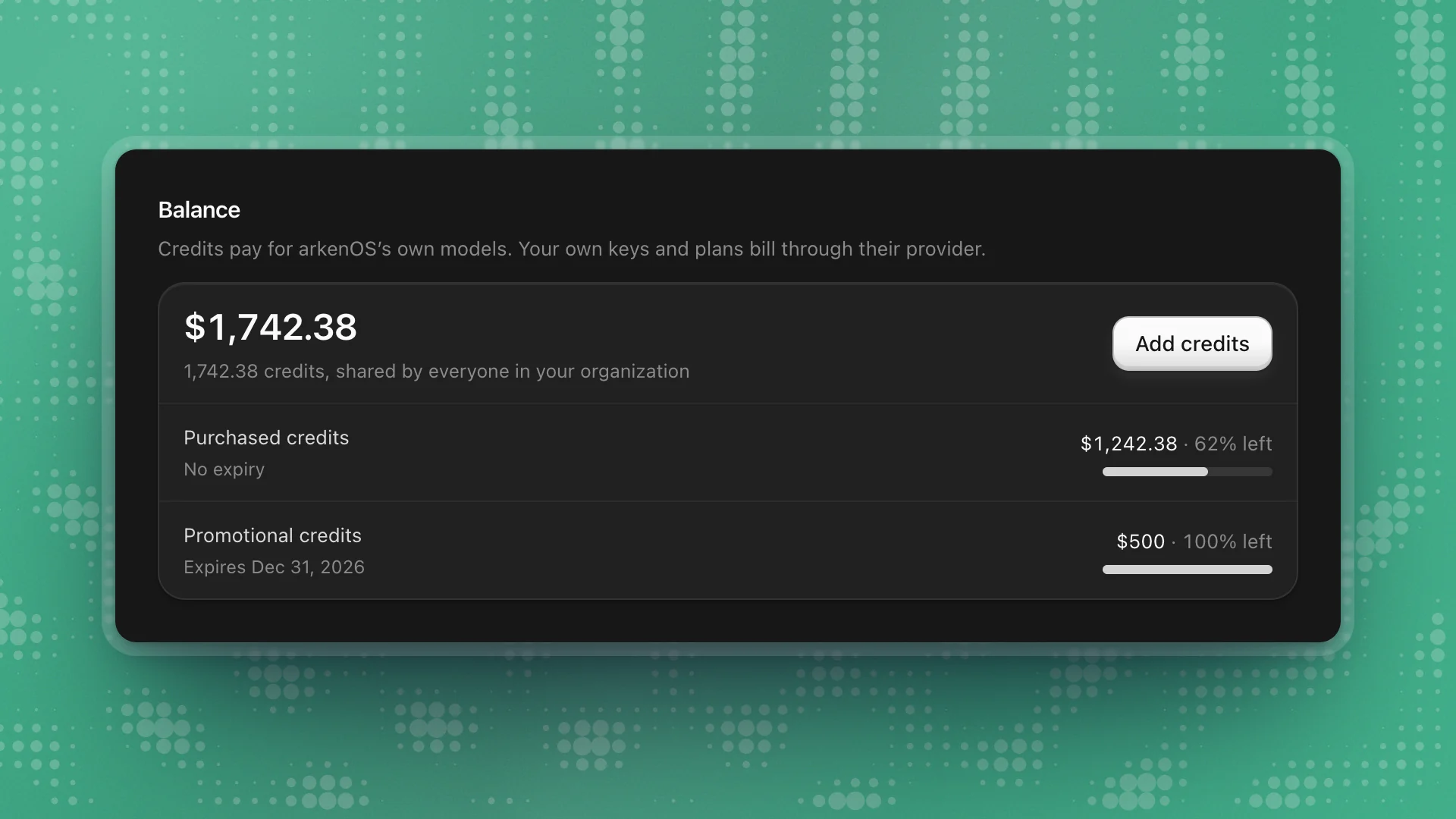 Balance: $1,742.38 in credits shared by the organization, with purchased credits 62% left and promotional credits expiring Dec 31, 2026